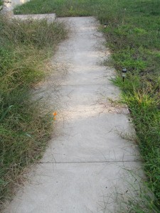walkway before