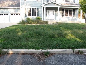 lawn before
