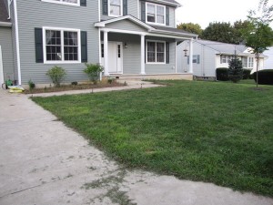 lawn after