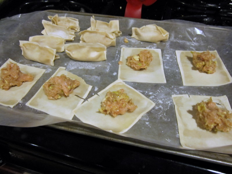 fillingpotstickers