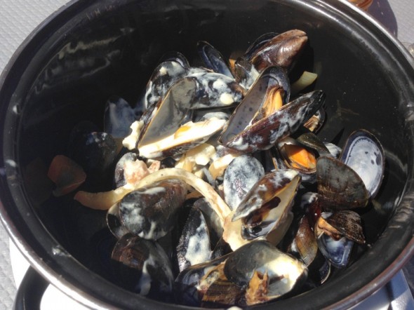 honfluer mussels